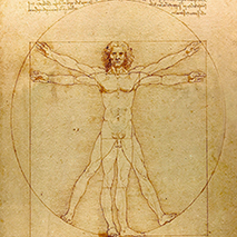 אפרת פולד – פיזיותרפיסטית מומחית